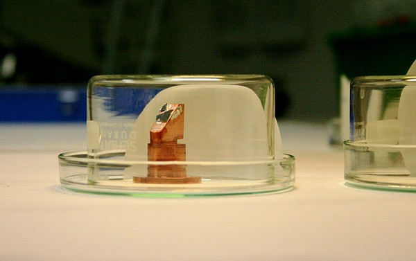 mszcl_probe