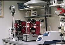 mszpr1