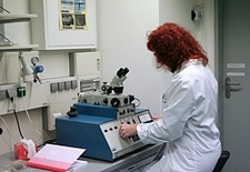 mszpr2