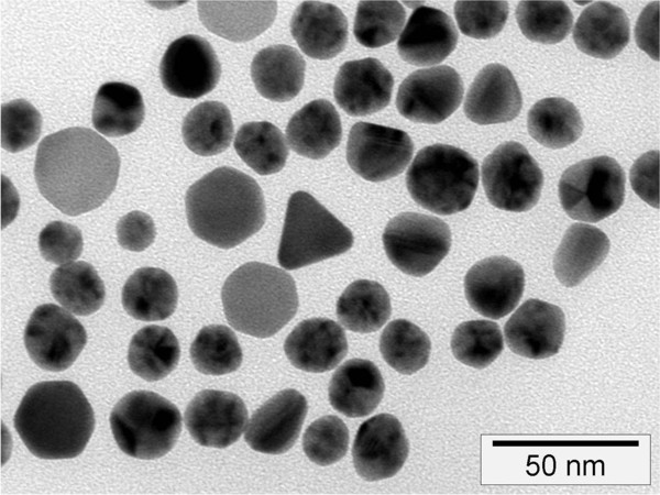 msztem_beisp_nano01