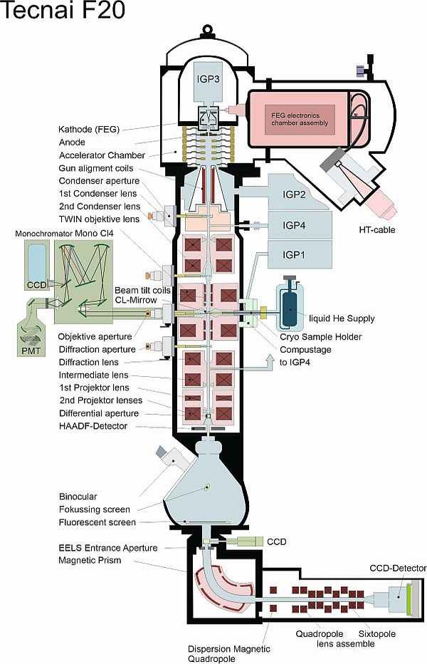 msztem_temcl_schema_600